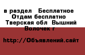  в раздел : Бесплатное » Отдам бесплатно . Тверская обл.,Вышний Волочек г.